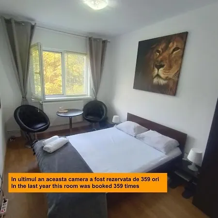 Florentin Bai Comune Acces Bucatarie Cheap Private Shared Bathrooms Kittchen Laundry Machine Access Netflix *